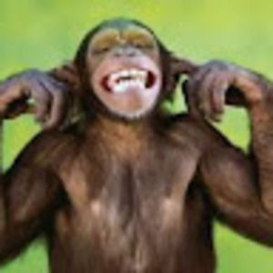 Meet your Posher, Jay douglas